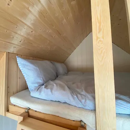 Bird Nest